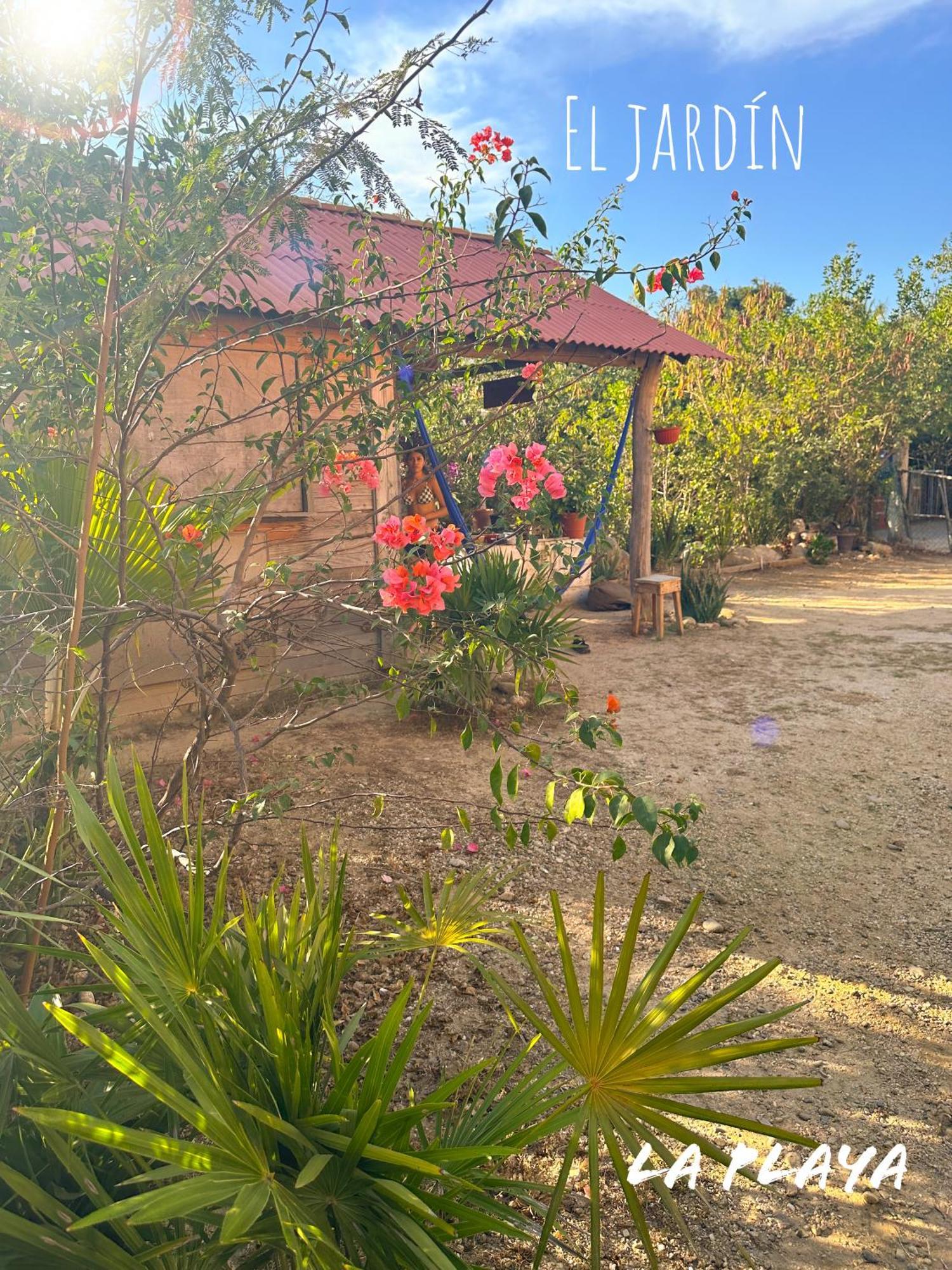 Hotel La Playa Mazunte Dış mekan fotoğraf